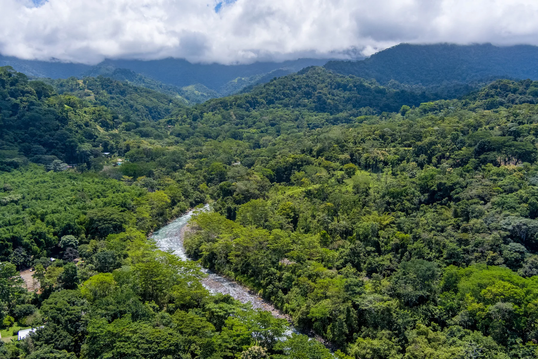 El valle del río junto a Synergy